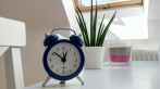 round blue alarm clock with bell on white table near snake plant